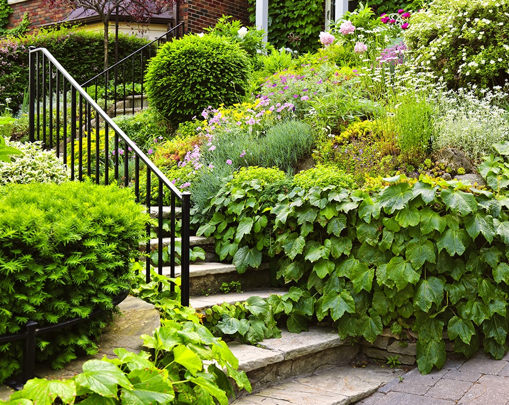 Commercial Landscaping