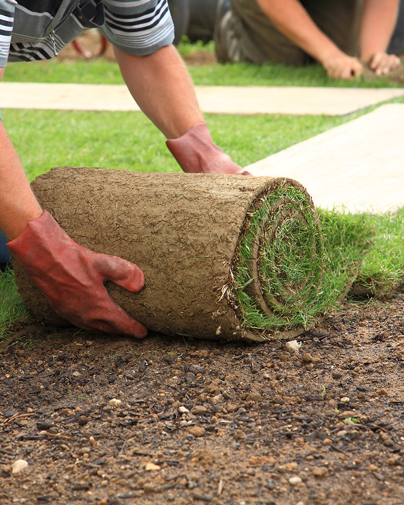 Commercial Landscaping