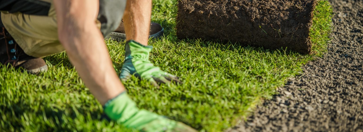 Commercial Landscaping