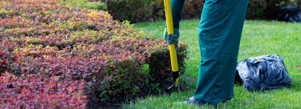 Seasonal Changes: Transform Your Autumn Garden with Professional Landscaping