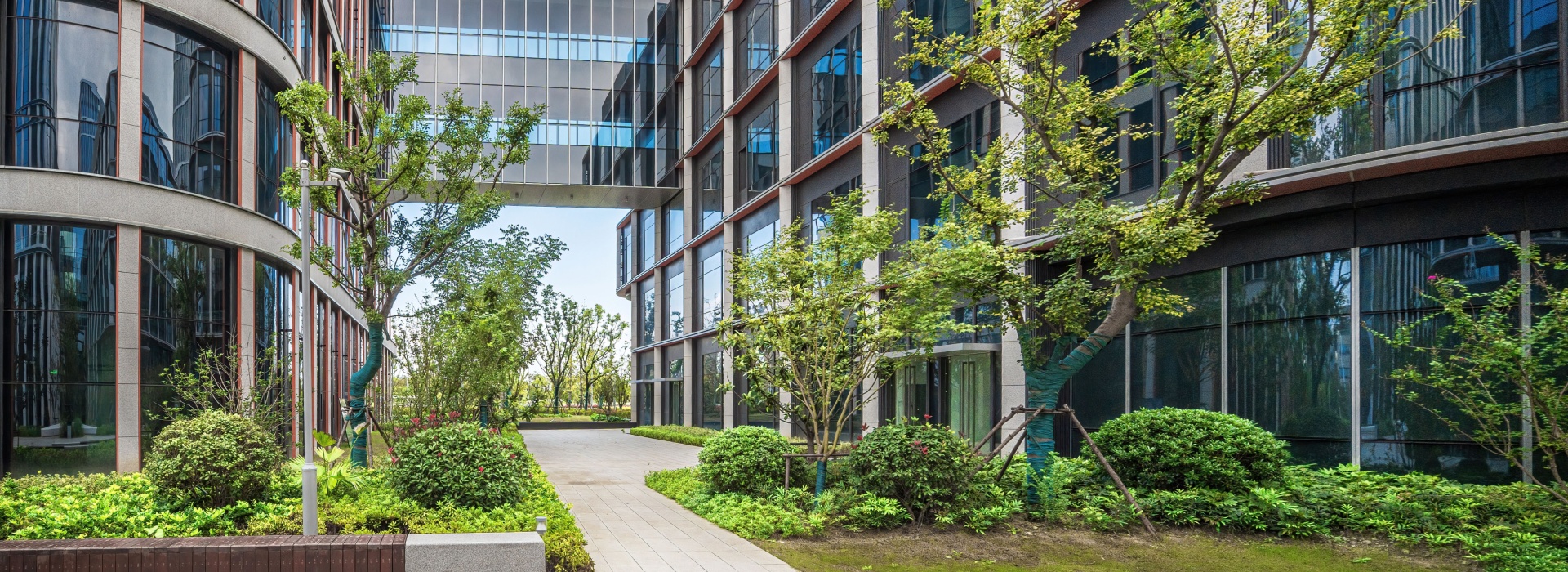 Seasonal Success: Commercial Landscaping Solutions for Autumn