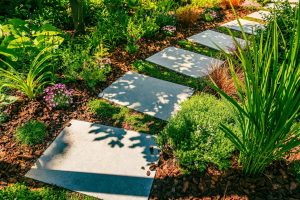 From Vision to Vibrant Gardens Why Full-Service Landscaping Is the Smart Choice