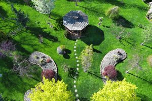 Greener Gardens, Smarter Spaces: A Guide to Eco-Friendly Landscaping