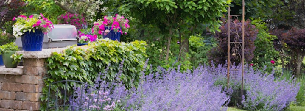 What Makes a Garden Look Expensive Landscaping Choices That Create a Premium Finish