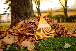 Is Your Garden Ready for Autumn Rain 7 Landscaping Checks to Prevent Waterlogging and Winter Damage