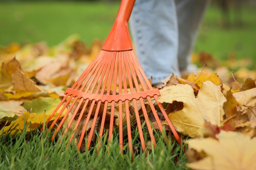 Garden Path Ideas That Work: Plan a Route Around How You Use Your Garden